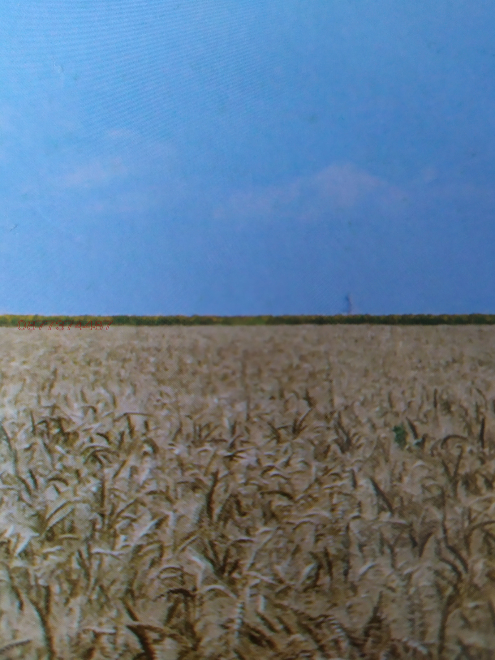 ������� ���������� ���� | Imot.bg � ����������� 1