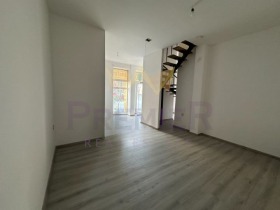 ����� ������� �������,���� �����, ������