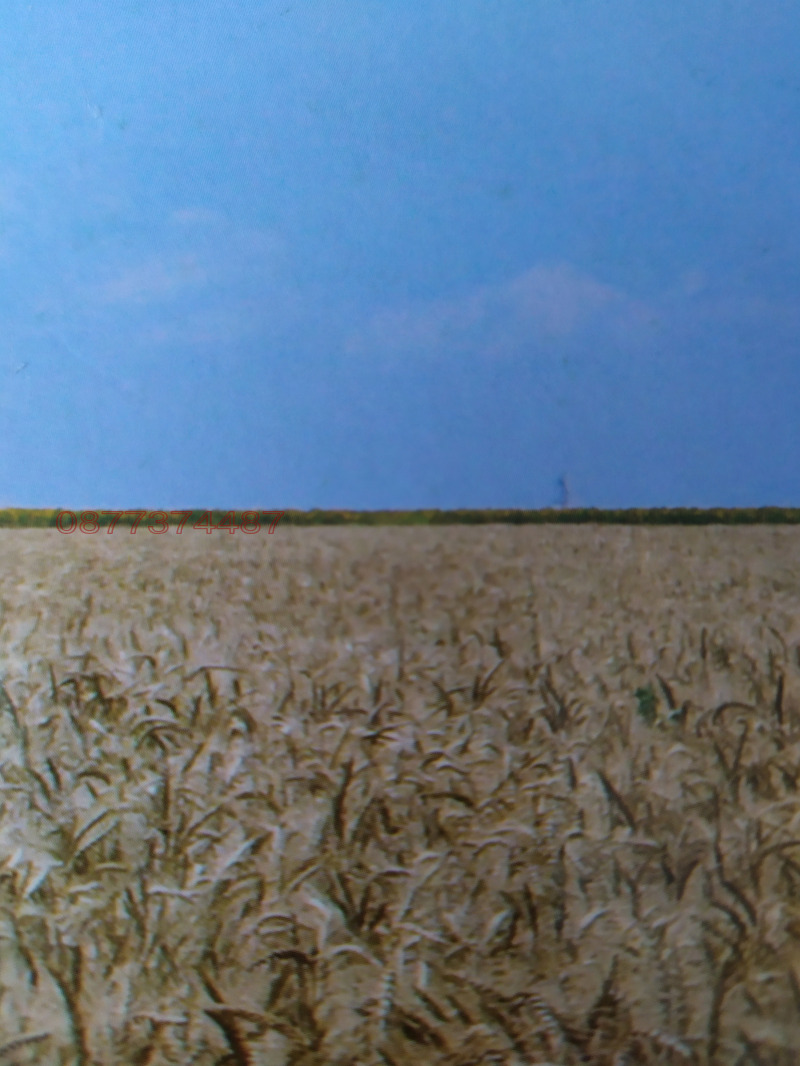 Продава ЗЕМЕДЕЛСКА ЗЕМЯ, с. Ракитница, област Стара Загора