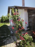 Продава  Къща област Пазарджик , с. Дорково , 164 кв.м | 66803423 - изображение [2]