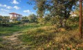 Продава  Парцел Гърция , Халкидики , 4000 кв.м | 41795203 - изображение [9]