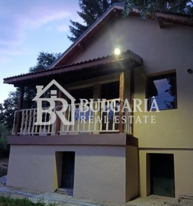 ������ ������� ����