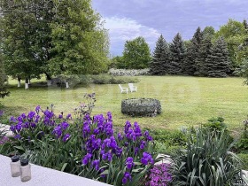 ������� ���� | Imot.bg � ����� ������ 17