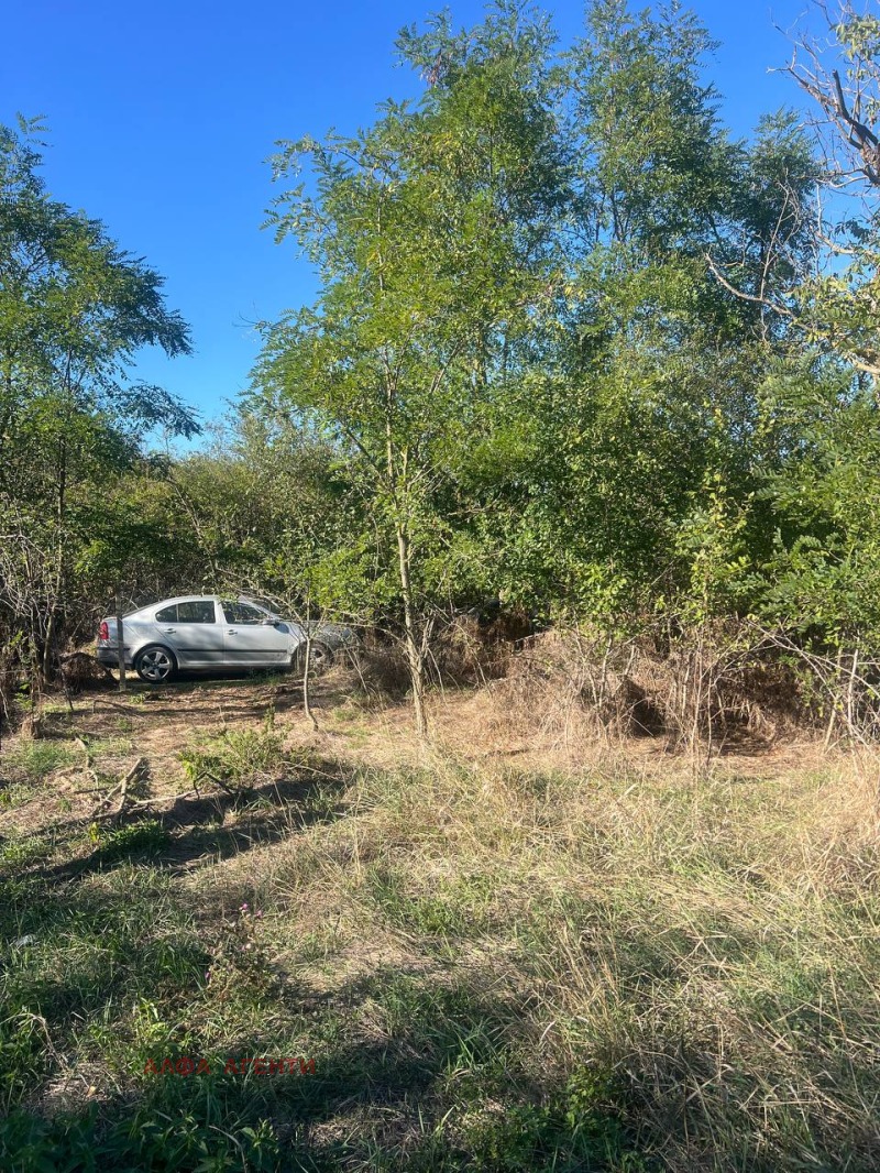 Na prodej  Spiknutí oblast Varna , Dobroplodno , 880 m2 | 42207085 - obraz [3]