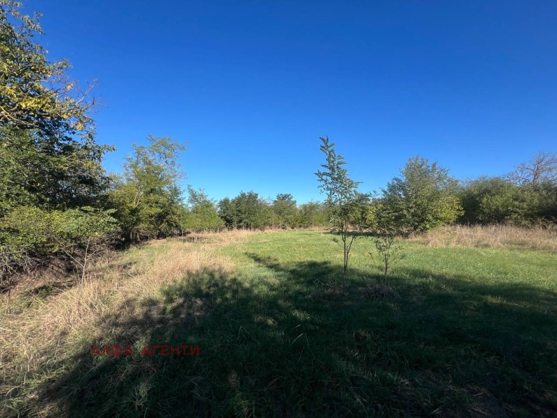 Na prodej  Spiknutí oblast Varna , Dobroplodno , 880 m2 | 42207085 - obraz [5]