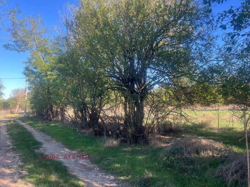 Na prodej  Spiknutí oblast Varna , Dobroplodno , 880 m2 | 42207085 - obraz [2]