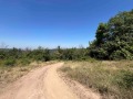 Продава  Парцел област Пловдив , с. Извор , 2486 кв.м | 48321142 - изображение [4]