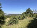 Продава  Парцел област Пловдив , с. Извор , 2486 кв.м | 48321142 - изображение [12]