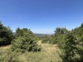 Продава  Парцел област Пловдив , с. Извор , 2486 кв.м | 48321142 - изображение [10]
