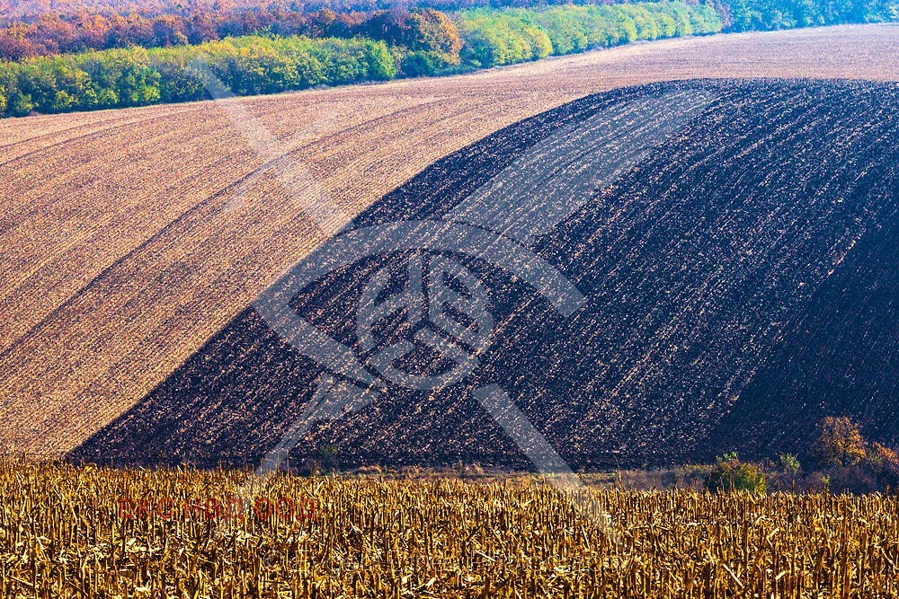 Продава ПАРЦЕЛ | Imot.bg — изображение 1