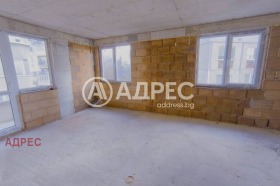 ����� ������� ����������,���� �����, ��������� ����