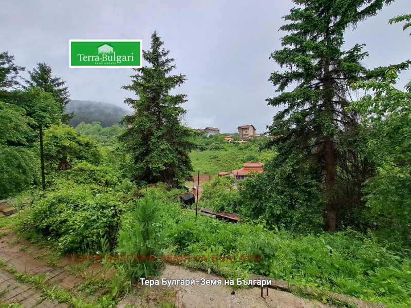 For Sale  House Pernik , Mogiliche , 208 sq.m | 72911263 - image [8]