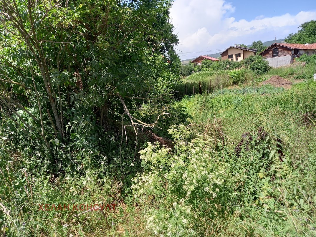 Продава ПАРЦЕЛ, с. Долна Диканя, област Перник, снимка 2 - Парцели - 53938797