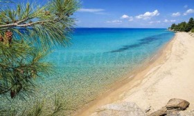 ������� ������ | Imot.bg � ����� ������ 7