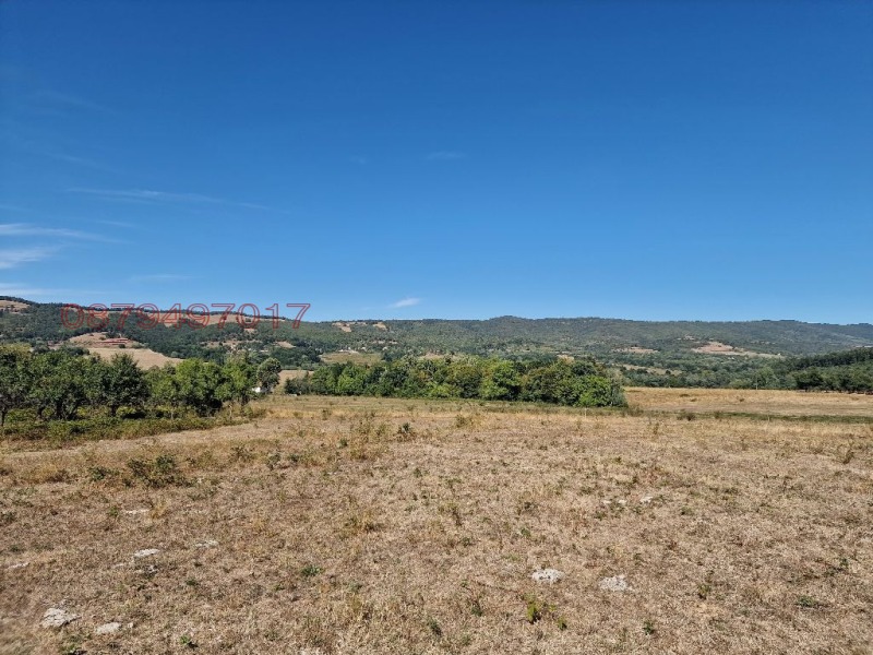 Продава ПАРЦЕЛ, с. Голяма Желязна, област Ловеч, снимка 6 - Парцели - 52779693