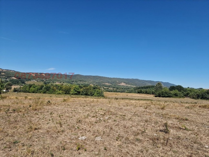 Продава ПАРЦЕЛ, с. Голяма Желязна, област Ловеч, снимка 4 - Парцели - 52779693