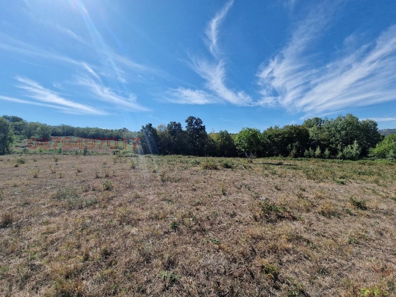 Продава ПАРЦЕЛ, с. Голяма Желязна, област Ловеч, снимка 3 - Парцели - 52779693