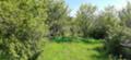 Продава ПАРЦЕЛ, с. Боснек, област Перник, снимка 2