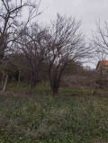 Продава КЪЩА, област Варна, с. Боряна • 25000 € • 49506501 — Holmes.bg