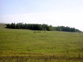 Продава ПАРЦЕЛ, област Перник, яз. Пчелина • 230000 € • 50431029 — Holmes.bg