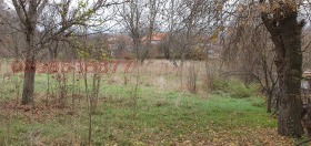 ������� ������ | Imot.bg � ����� ������ 8