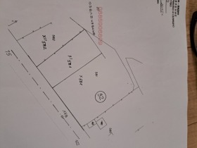 ����� ������� ������,�. ���� ����, ������ �����