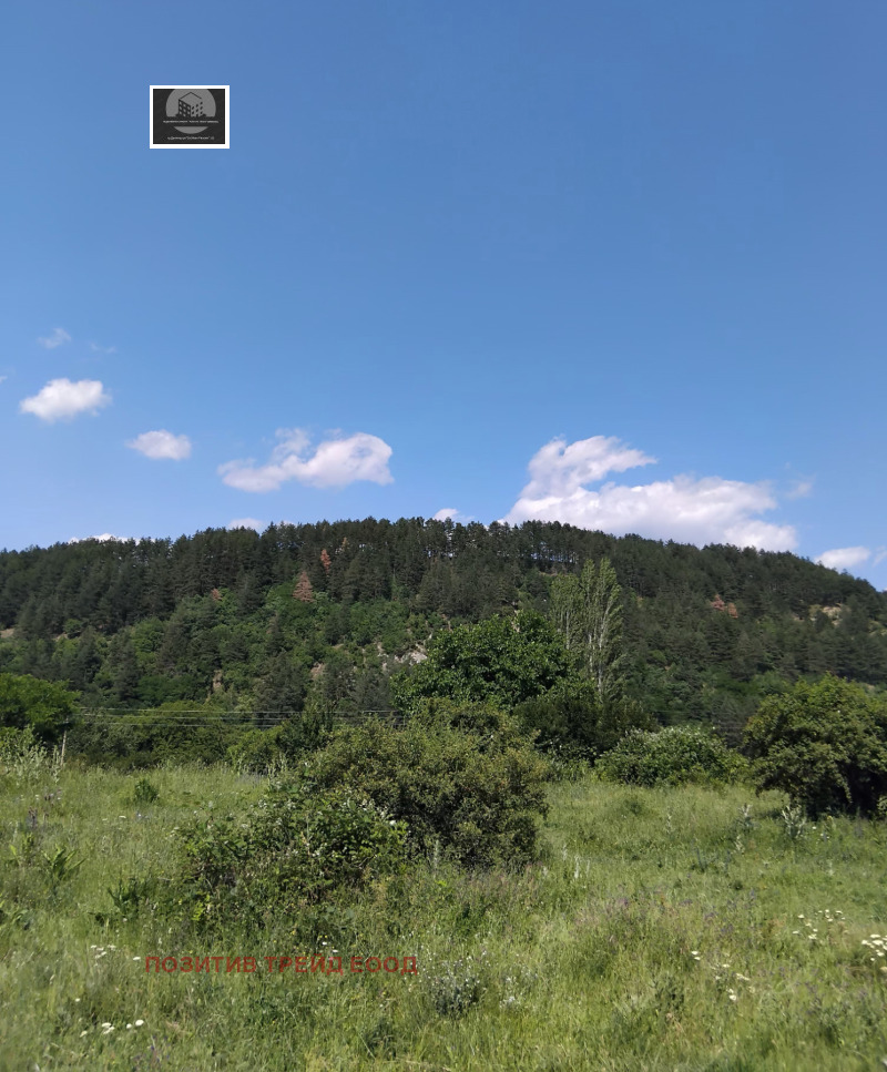 Til salgs  Plott region Kyustendil , Sapareva banja , 500 kvm | 82094572 - bilde [3]