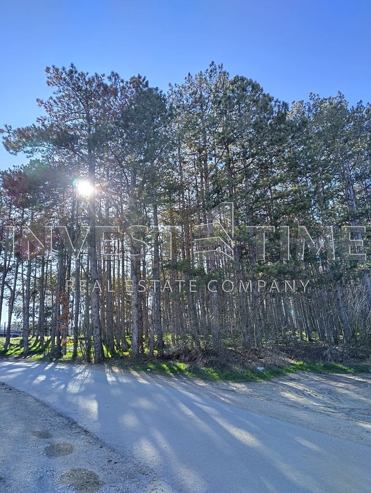 ������� 2-����� | Imot.bg � ����������� 12