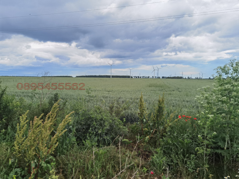 Продава ПАРЦЕЛ в област Добрич, с. Раковски - 10000 кв.м / 25 000 € » 48 895.75 лв.
