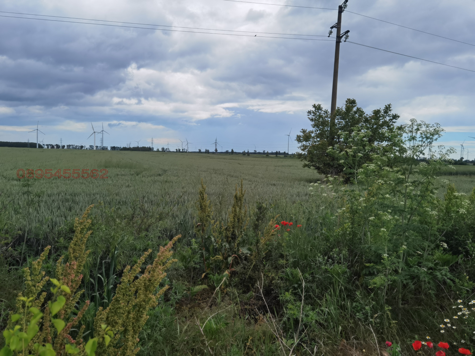 Продава ПАРЦЕЛ, с. Раковски, област Добрич, снимка 3 - Парцели - 54288251