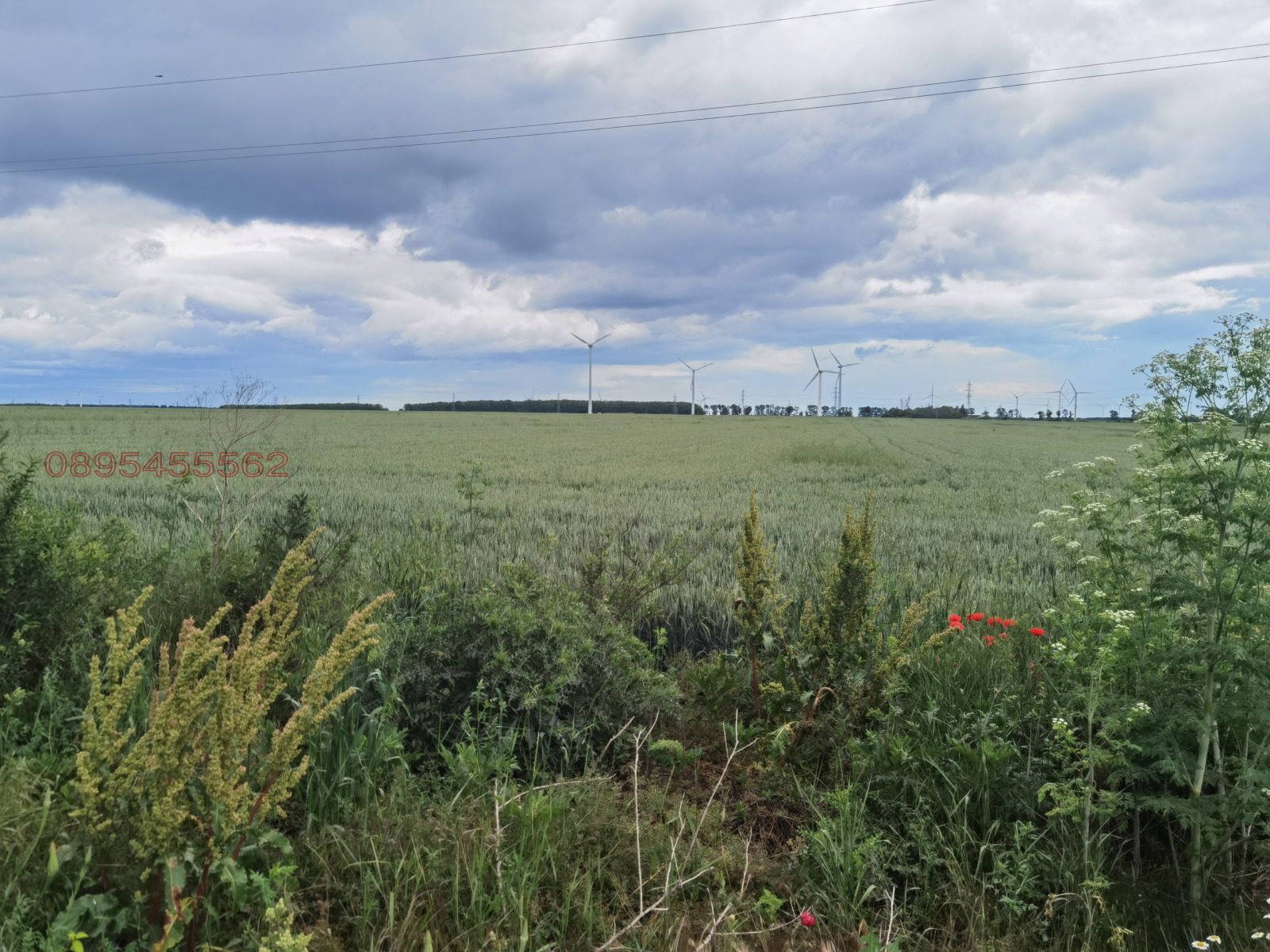 Продава ПАРЦЕЛ, с. Раковски, област Добрич