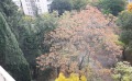 Продава 3-СТАЕН, град Стара Загора, Център • 105000 € / 205362.15 лв. • 28524728 12