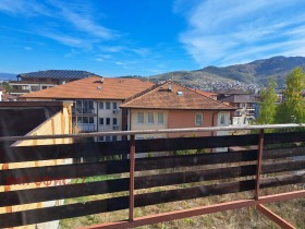 Hus Velingrad, region Pazardzhik 4