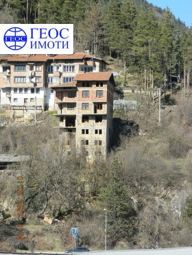 ����� ������� ����,���� ������, ����� �������