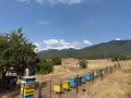 Продава КЪЩА, гр. Велинград, област Пазарджик, снимка 8