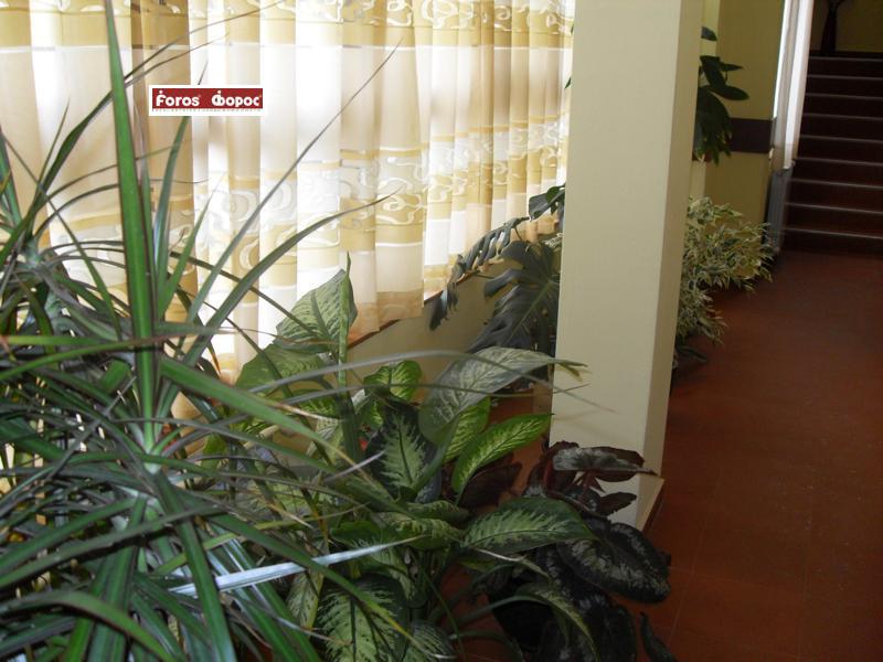 ������� ����� | Imot.bg � ����������� 11
