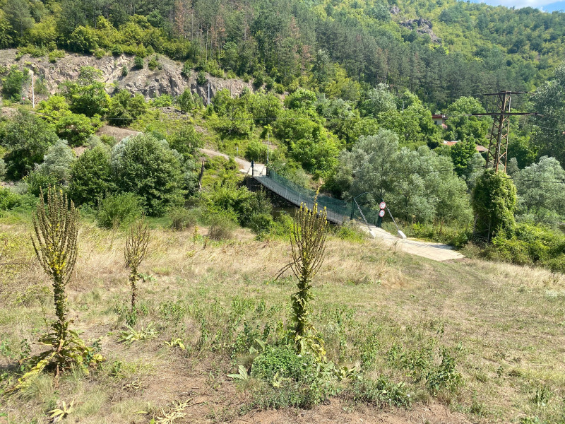Продава ПАРЦЕЛ в област София, с. Левище - 696 кв.м / 30 000 € » 58 674.90 лв., ТЕМПО ЕСТЕЙТ