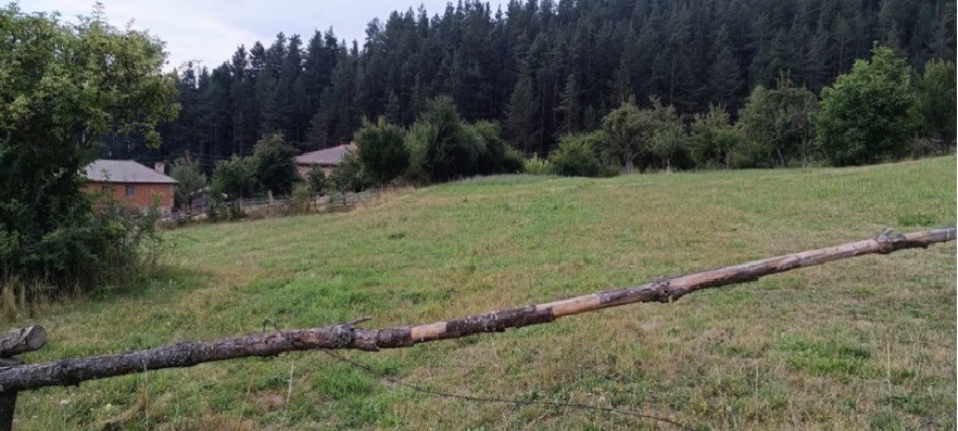 ������� ������ | Imot.bg � ����������� 1