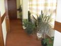 Продава  Хотел област Благоевград , гр. Банско , 1050 кв.м | 60932989 - изображение [12]