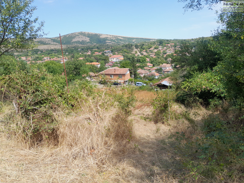 Продава ПАРЦЕЛ в област Монтана, с. Горно Церовене - 1460 кв.м / 20 500 € » 40 094.52 лв., ХЕЛИОС-М