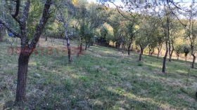 ������� ������ | Imot.bg � ����� ������ 15