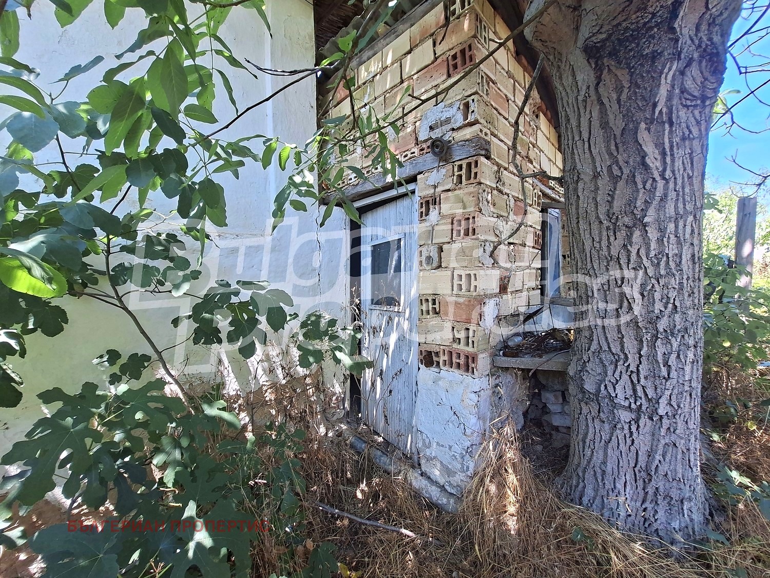 Продава КЪЩА, с. Поляна, област Ямбол, снимка 6 - Къщи - 55462990