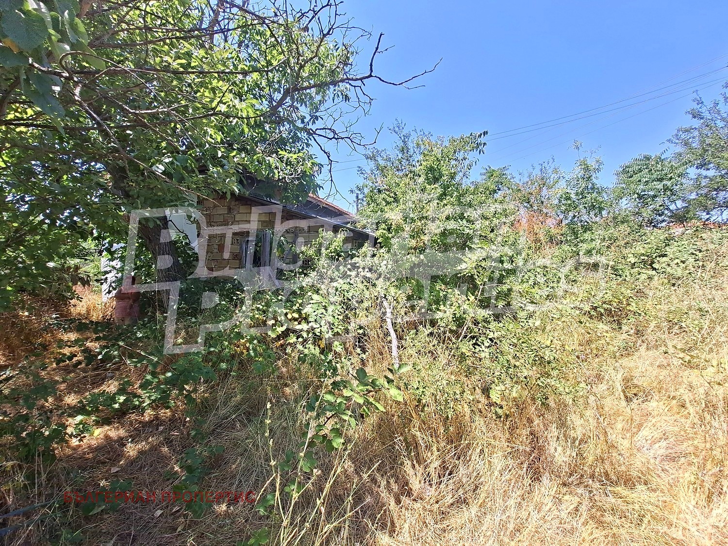 Продава КЪЩА, с. Поляна, област Ямбол, снимка 7 - Къщи - 55462990