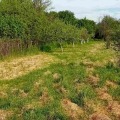 Продава КЪЩА, област Перник, с. Друган • 95000 € / 185803.85 лв. • 89964390 2