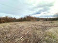 Продава ПАРЦЕЛ, област Велико Търново, с. Момин сбор • 78000 лв. • 11413624 — Holmes.bg