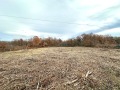 Продава ПАРЦЕЛ, област Велико Търново, с. Момин сбор • 78000 лв. • 11413624 — Holmes.bg