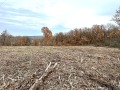 Продава ПАРЦЕЛ, област Велико Търново, с. Момин сбор • 78000 лв. • 11413624 — Holmes.bg