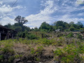 Продава ПАРЦЕЛ, област Монтана, с. Горно Церовене • 40000 лв. • 20561876 — Holmes.bg