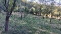 Продава ПАРЦЕЛ, град Габрово, Шенини • 21000 € • 52691062 15