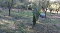 Продава ПАРЦЕЛ, град Габрово, Шенини • 21000 € • 52691062 2